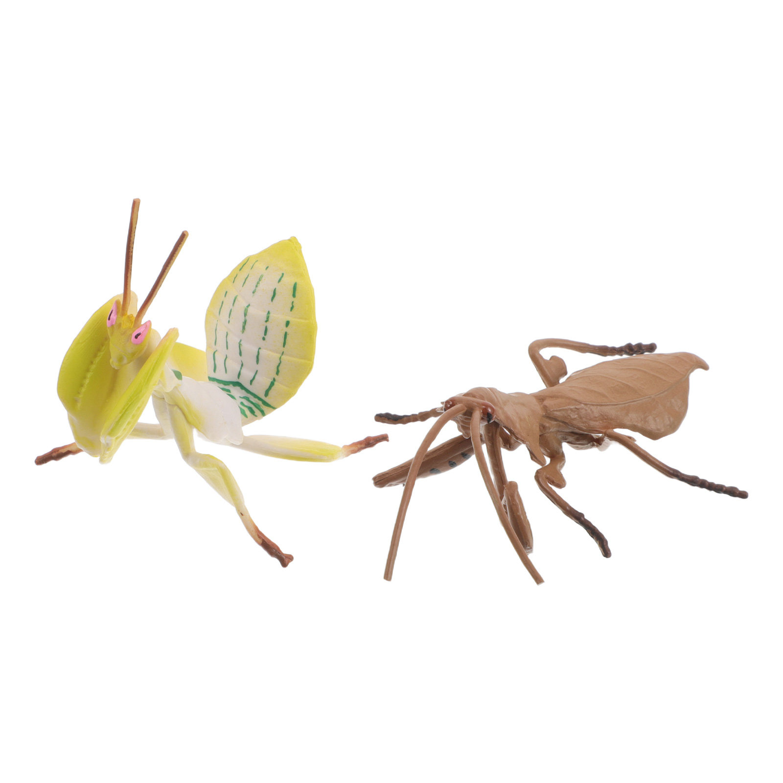 Realistyczne modele bogatystek – Science Toy recenzja i cena