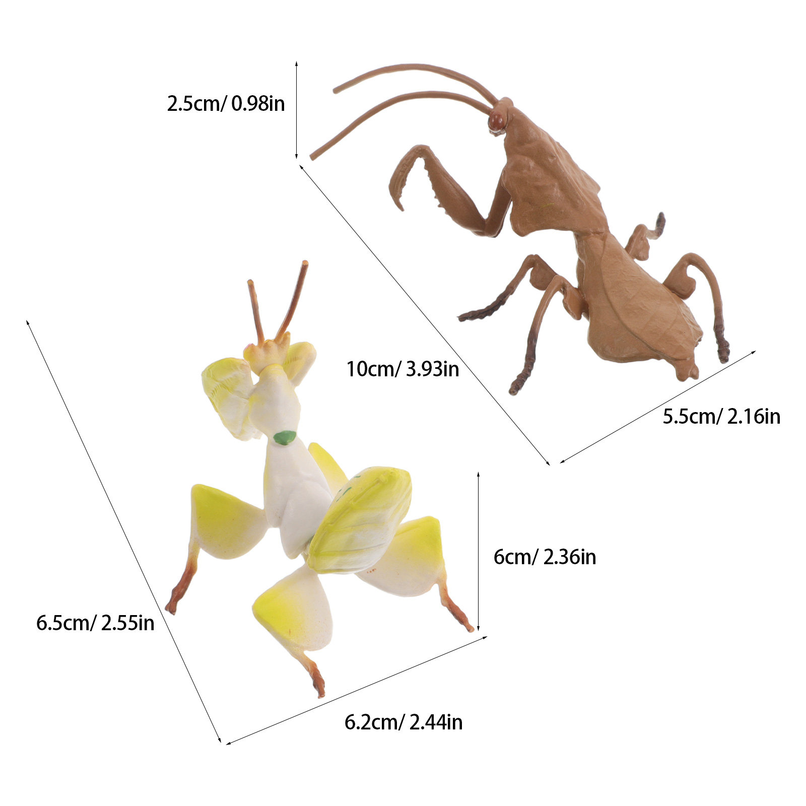 Realistyczne modele bogatystek – Science Toy recenzja i cena